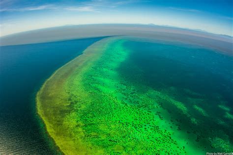 Queensland Government $65 million commitment to address Reef water pollution welcomed ...