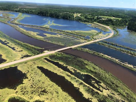 Sask. Water Security Agency says record-high water levels possible in some areas | CBC News