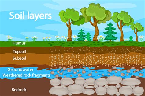 Soil Layers Diagram For Layer Of Soil Soil Layer Scheme With Grass ...