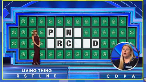 Viral ‘Wheel of Fortune’ Contestant Breaks Silence on ‘Pink Orchid ...