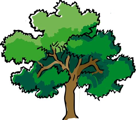 Free Oak Tree Cartoon, Download Free Oak Tree Cartoon png images, Free ...