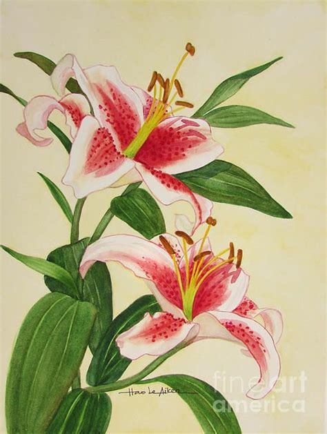 Stargazer Lilies - Watercolor by Hao Aiken | Watercolor stargazer lily, Flower painting, Flower art