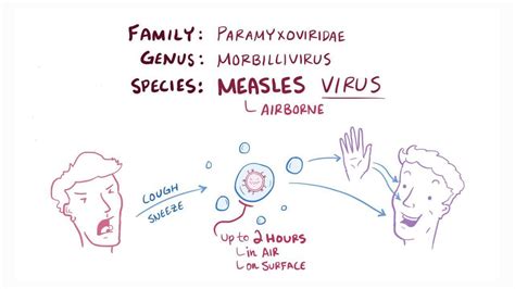 Measles virus: Video, Anatomy, Definition & Function | Osmosis