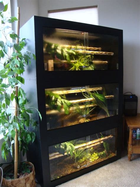 #Arboreal #snake #enclosure #stack #reptile | Reptile enclosure, Diy reptile, Reptile room