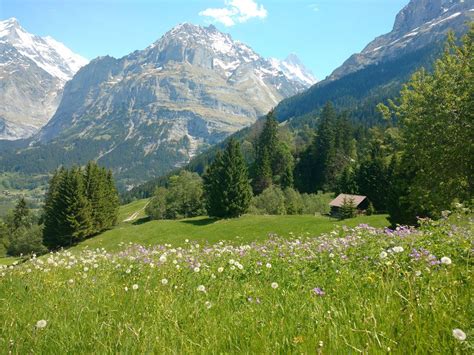 You are going to love Swiss Alps in the summer! | Beautiful landscapes ...