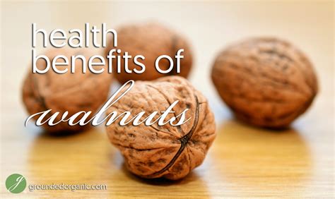 Health Benefits of Walnuts - Grounded Organic