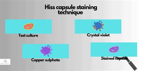 Hiss staining method and principle for capsule staining