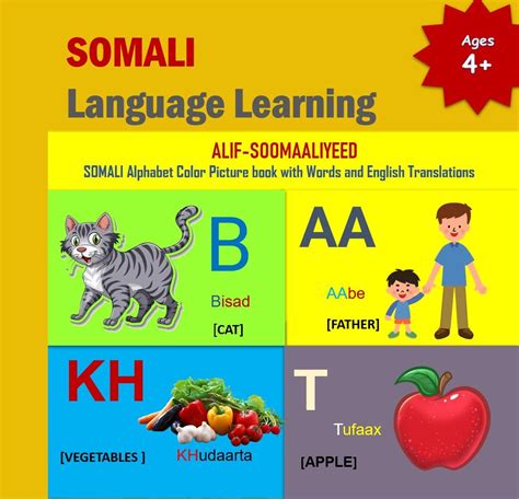 Buy SOMALI Language Learning: ALIF SOOMAALIYEED Buuga | Somali Alphabet ...