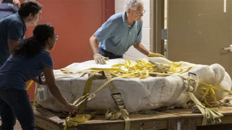 Rare dinosaur fossil dubbed ‘the Beast’ arrives at Chicago's Field Museum | FOX 32 Chicago