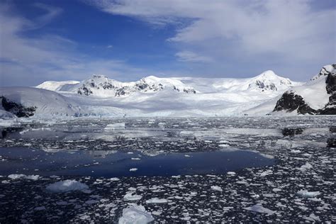 Antarctica turning green as climate change takes hold