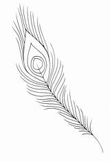 Feather Coloring Page Sheets Pages sketch template