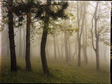 Upslope Fog in May 3 by Mariam Sitchinava | Printed Editions