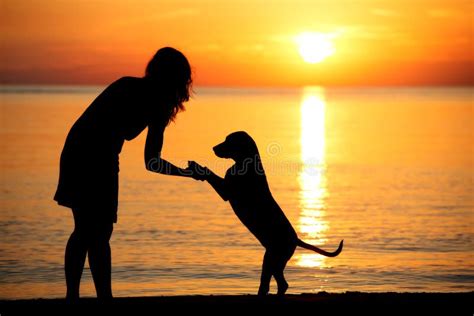 Woman and Dog Silhouettes on a Beach at Sunset Stock Image - Image of animal, human: 76522341