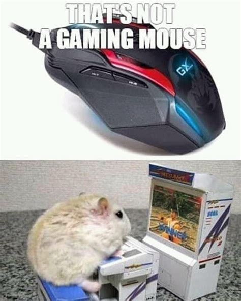 Neko Random Meme Dump: Gaming Mouse + More – Neko Random