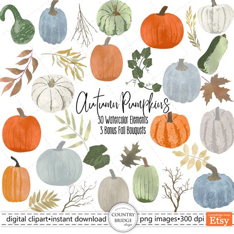 Pumpkin Clip Art Watercolor Fall Clipart Fall Pumpkins - Etsy