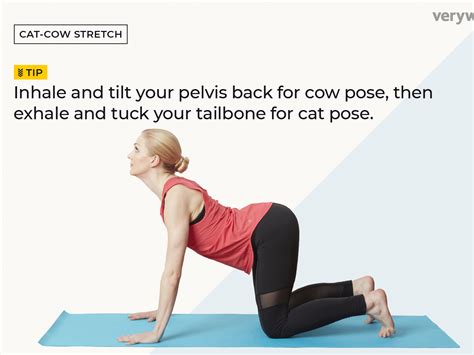 26 Best Images Cat Cow Pose Variations : Yoga For Pregnancy Cat Pose ...