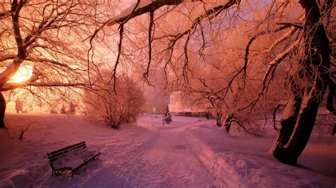 Pink Winter Wallpapers - Top Free Pink Winter Backgrounds - WallpaperAccess