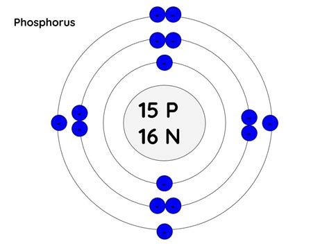 Bohr Model Example: Phosphorus Diagram | Quizlet