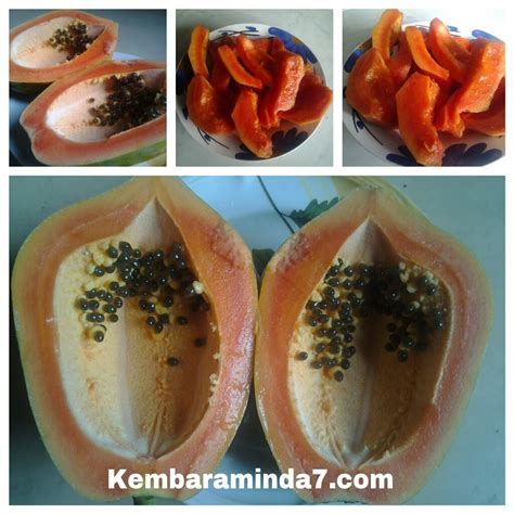 Kembara Minda 7: Buah betik sulung dah masak