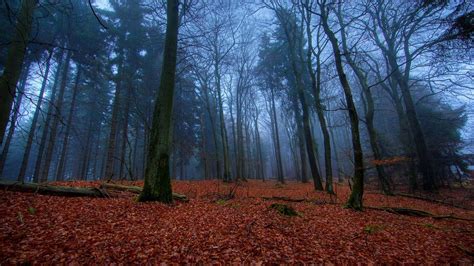 Paisagem, fotos de alta resolução com a beleza eo esplendor da natureza divina. | Papel de ...