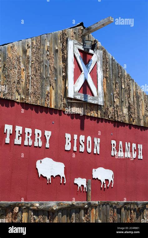 Terry bison ranch hi-res stock photography and images - Alamy