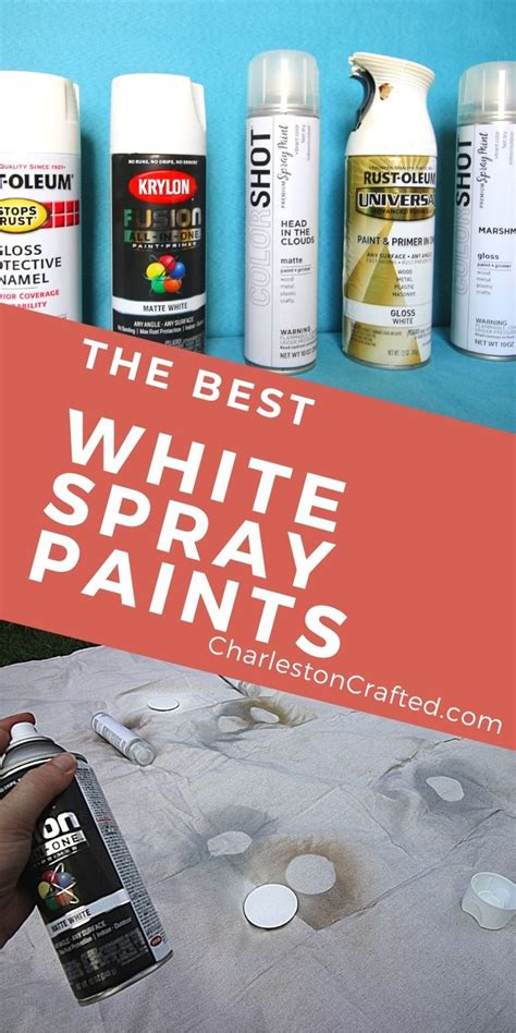 11+ Spray Paint White - DahliaGraham