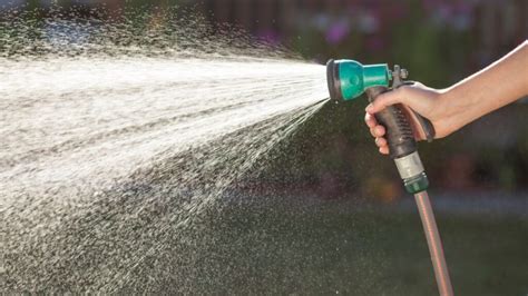 Lawn Watering Schedule: Learn How Often to Water Your Grass