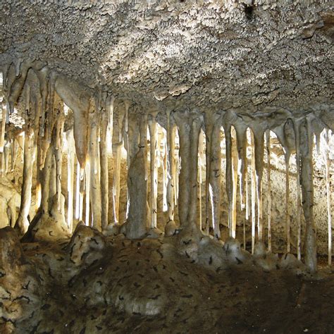 Oregon Caves National Monument And Preserve - All You Need to Know ...