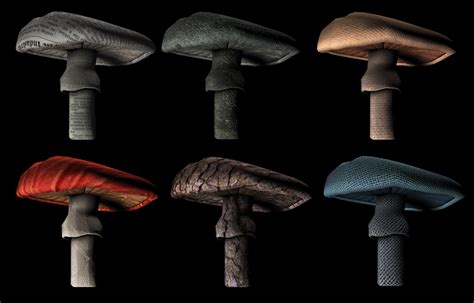 The Spectacular Science Blog: Lifecycle of a Mushroom: Mushroom Texture Tests