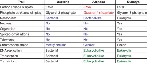 What Are The Similarities And Differences Between Archaea And Bacteria - cloudshareinfo