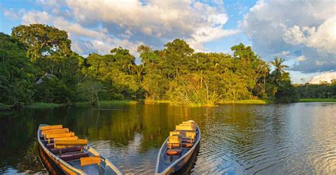 Kebakaran di Hutan Amazon: Bukti Bahayanya Populisme Sayap Kanan