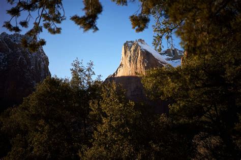 5 Reasons to Visit Zion National Park in Winter (plus top things to do)