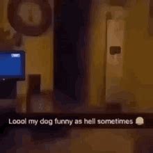 Hell Dogs GIF - Hell Dogs - Discover & Share GIFs