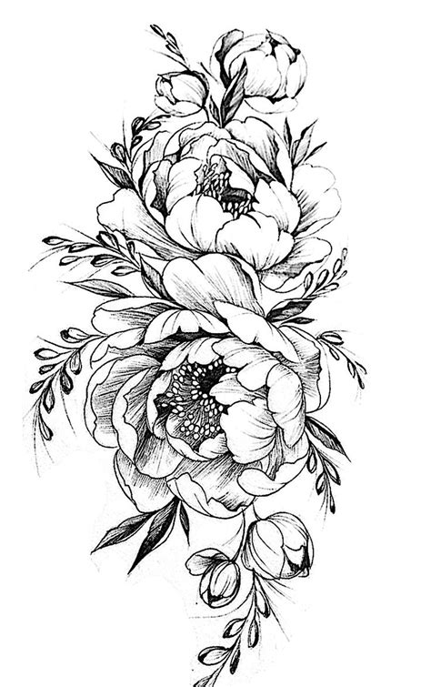 Peony Flower Sketch at PaintingValley.com | Explore collection of Peony ...