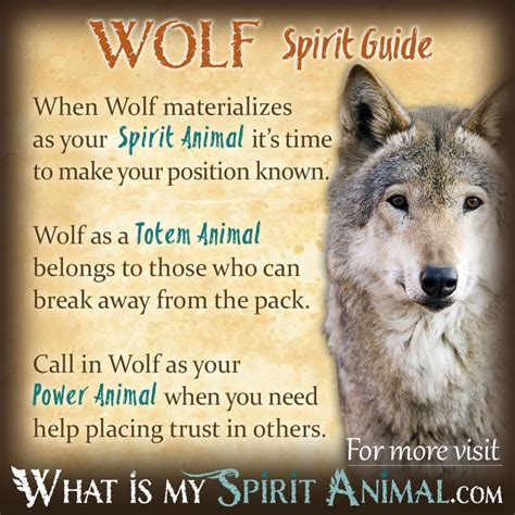 Wolf Symbolism & Meaning | Spirit, Totem & Power Animal