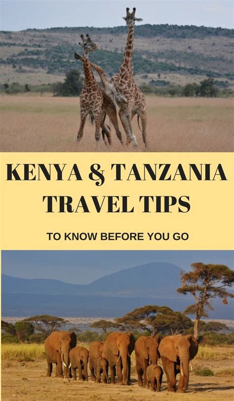 Essential Kenya and Tanzania Travel Tips You Need To Know