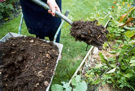 Compost for the Lawn