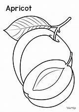 Apricot Coloring Pages Free Printable PDFs  WakeTheKids sketch template