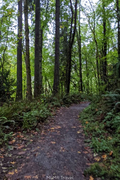 Best Hikes Near Downtown Portland - Our favorite trails | MLMR Travel ...