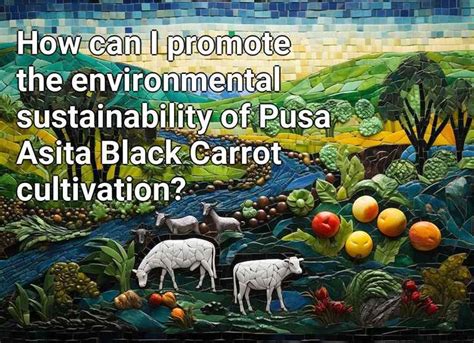 How can I promote the environmental sustainability of Pusa Asita Black ...