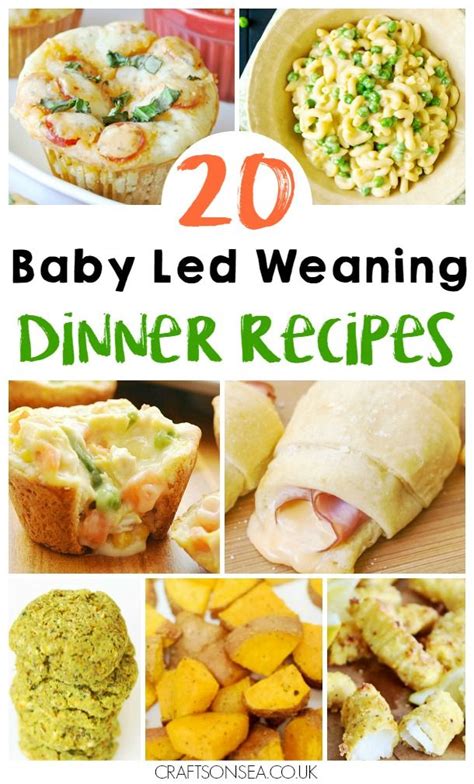 20 Delicious Baby Led Weaning Dinner Ideas | Baby food recipes, Baby ...