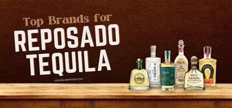 15 Best Reposado Tequila Brands For 2024 (Don't Miss Out)