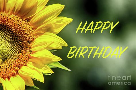 Happy Birthday Sunflowers Photograph by Tom Gari Gallery-Three-Photography | Pixels