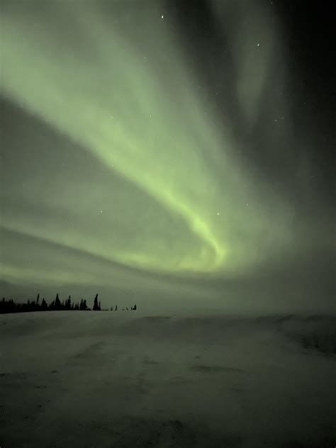 Aurora borealis yesterday night in Fairbanks, AK : r/pics