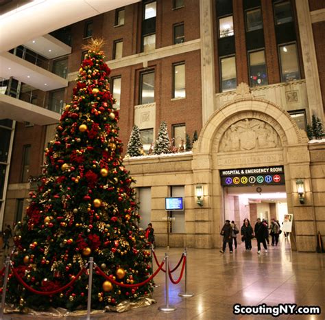 Happy Holidays From Bellevue Hospital | Scouting NY