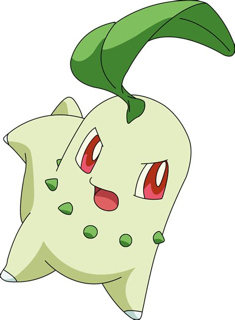 Chikorita | Pokémon Wiki | Fandom | Pokemon, Pokemon channel, Pokemon pokedex