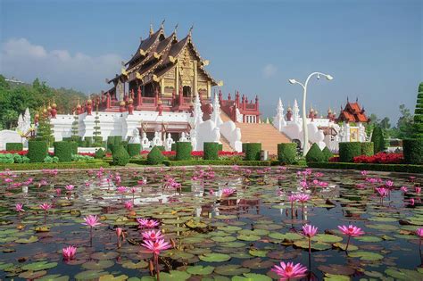 Chiang Mai, Thailand at Royal Flora Ratchaphruek Park. Photograph by Anek Suwannaphoom - Pixels