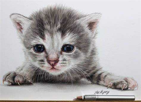 Cute Kittens and Puppies Drawings | Cute cat illustration, Puppy drawing, Kittens and puppies