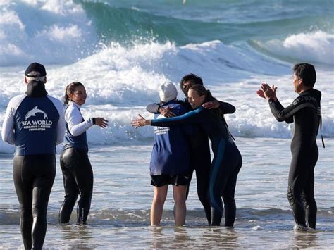 Whale rescue at Palm Beach - Load News