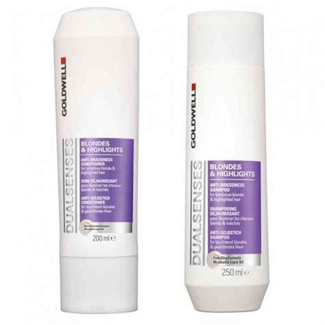 Goldwell Dualsenses Blondes & Highlights Shampoo And Conditioner Duo ...